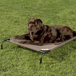 Coolaroo Steel-Framed Elevated Dog Bed