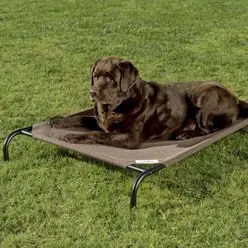Coolaroo Steel-Framed Elevated Dog Bed